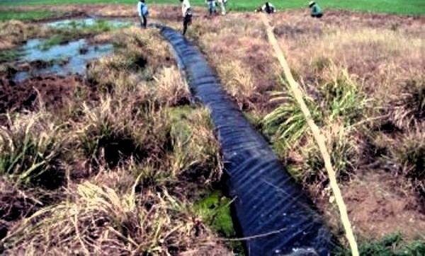 Foto: Archivo Cubasolar de Camagüey a favor de las fuentes renovables de energía