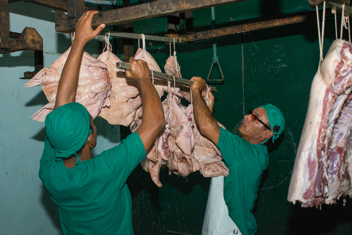 La cabeza de cerdo tiene ahora un nuevo valor agregado. Fotos: Leandro Pérez Pérez/Adelante Luces verdes en las iniciativas de una empacadora