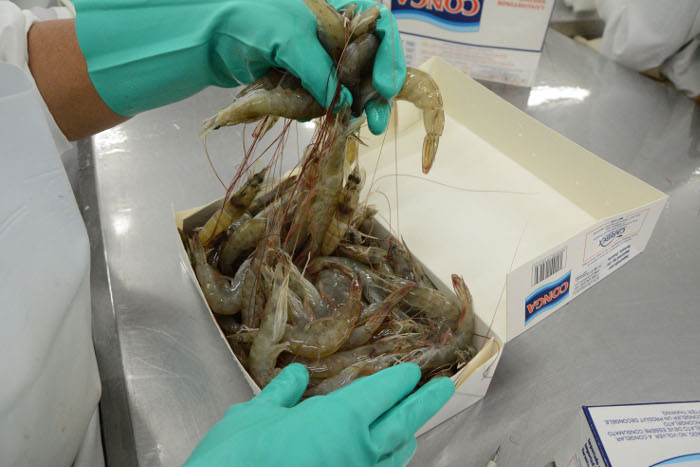 Santa Cruz del Sur: por la economía y la sociedad 