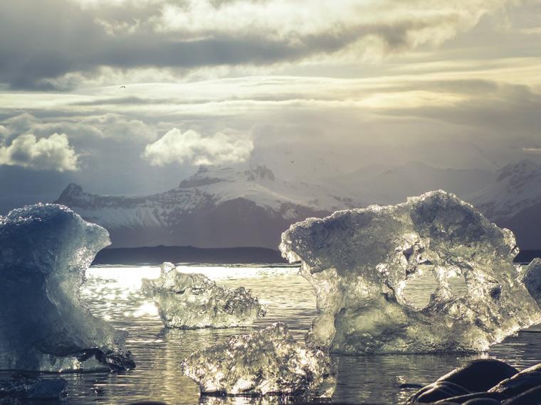Foto: Tomada de Muy interesante