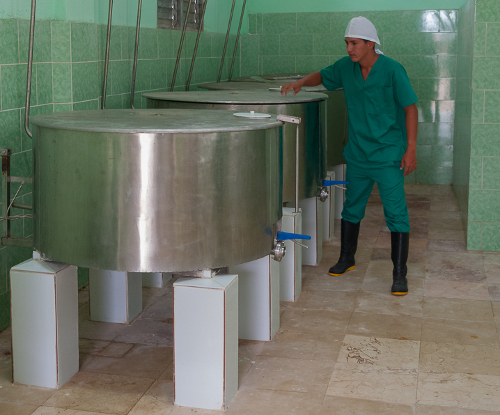 Fotos: Leandro Pérez Pérez/Adelante Se abarata costo del cuajo para el sector campesino