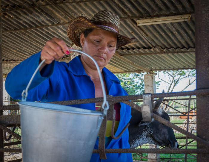 Foto: Leandro Pérez Pérez/Adelante