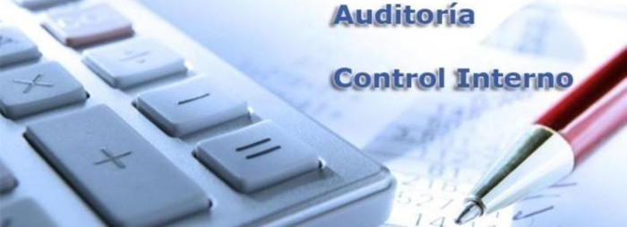 Perfeccionar el rol de los auditores, misión inaplazable