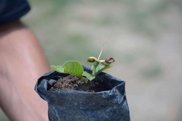 Fotos: Alejandro Rodríguez Leiva/ Adelante En armonía con la naturaleza/camaguey