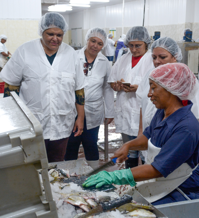 Foto: Alejandro Rodríguez Leiva/Adelante Episur, pilar de aportes e iniciativas