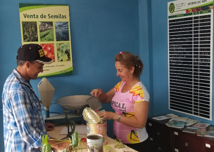 Foto: Del autor Florida ya vende semillas