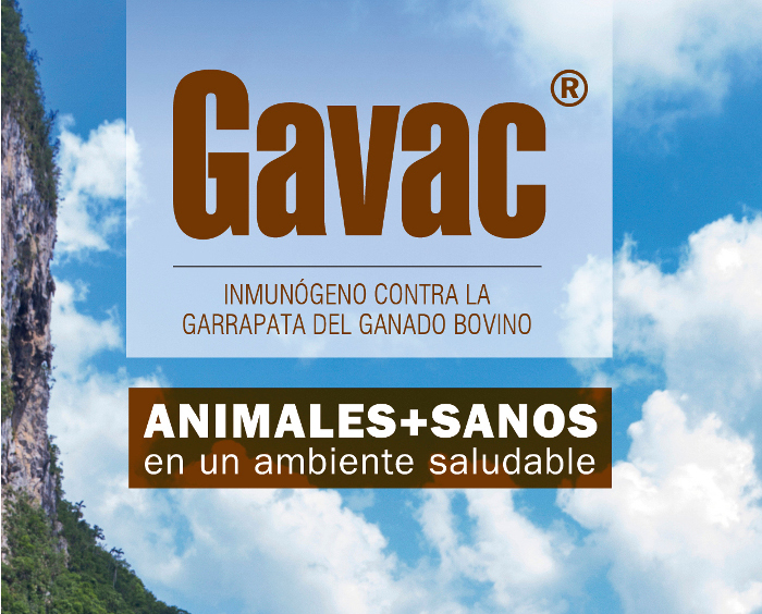 Imagen: Archivo Acoge Camagüey VII Taller Nacional de Productos Estratégicos Agropecuarios