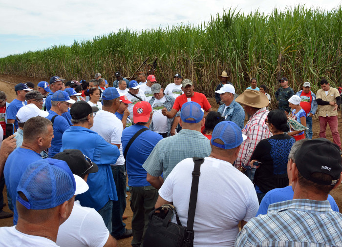 Camagüey expone resultados ante cañeros de Cuba 