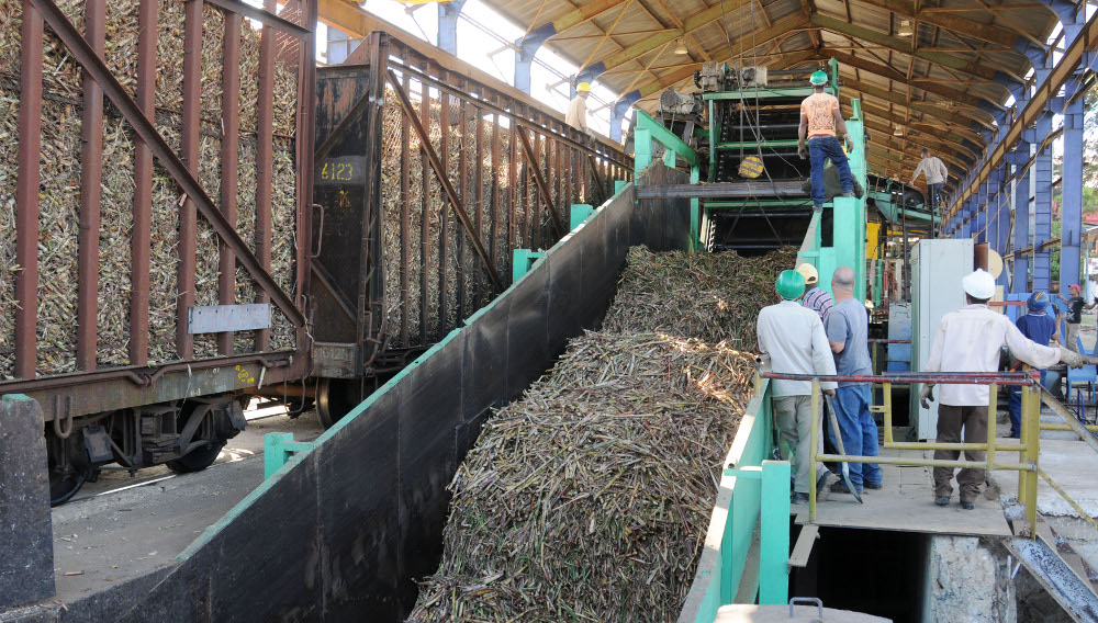 Santa Cruz del Sur inicia la zafra azucarera