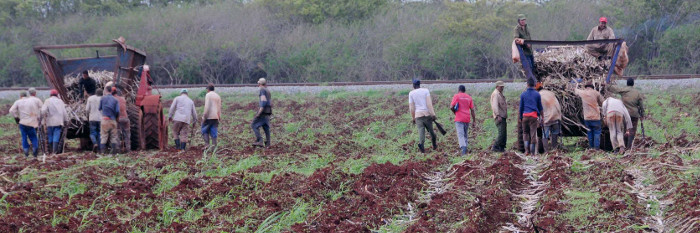 Sede Camagüey de encuentro nacional de productores cañeros
