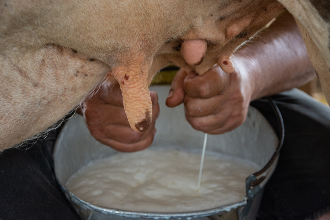 Fotos: Leandro Pérez Pérez/Adelante