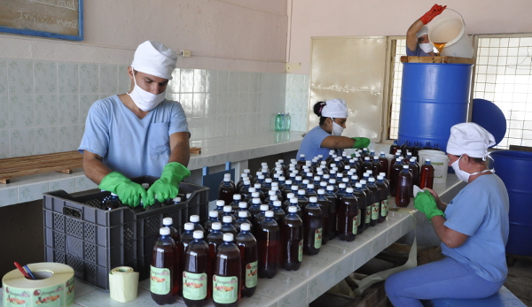 Minindustrias camagüeyanas por el autoabastecimiento alimentario