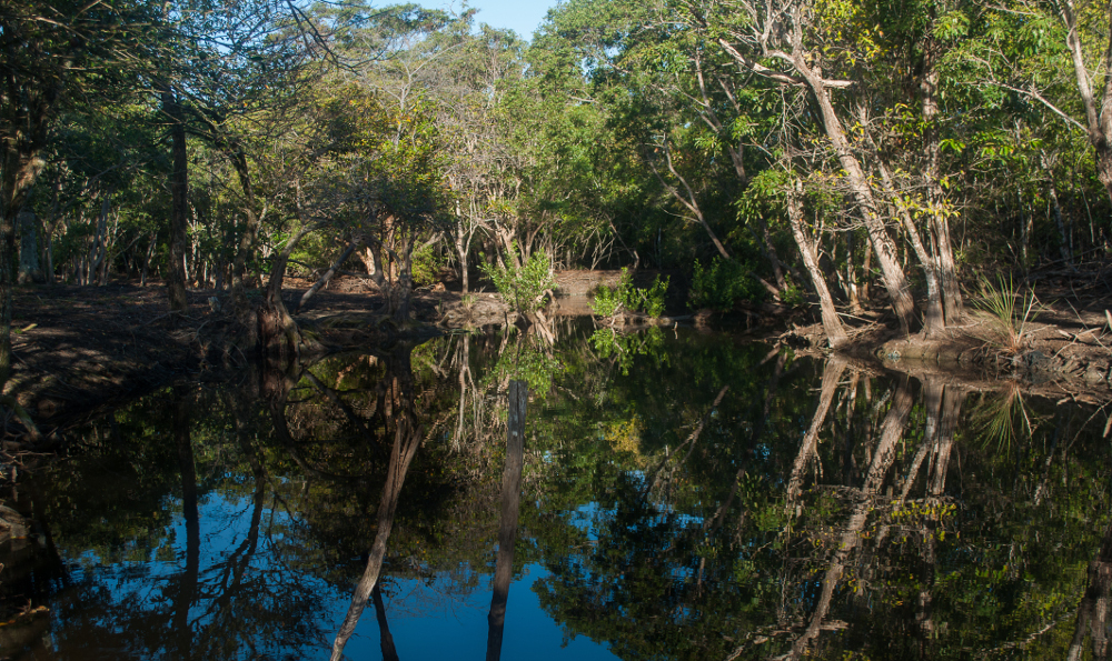 Territorial Development Program, for a sustainable environment