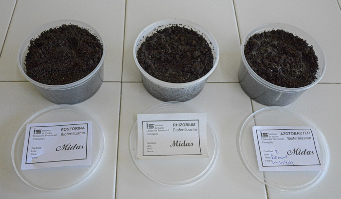 En la UCTB Suelo Camagüey se producen y comercializan biofertilizantes sólidos como el Dimargon, Azofer, Fosforina, cuya base es el humus de lombriz. Foto: Alejandro Rodríguez Leiva/ Adelante
