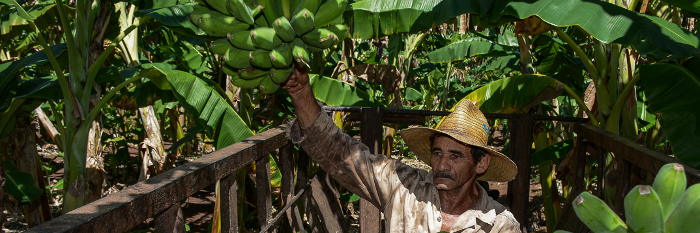 La comida y la salud del pueblo en la mira del gobierno en Camagüey 