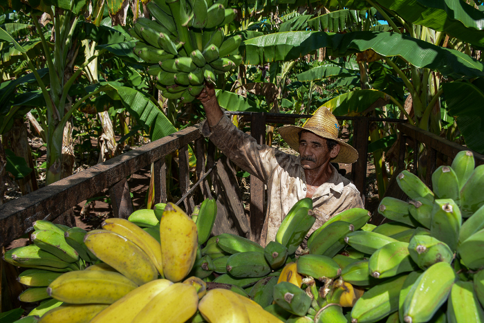 Foto: Leandro Pérez Pérez/ Adelante La comida y la salud del pueblo en la mira del gobierno en Camagüey
