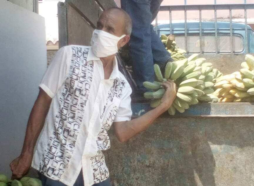 Foto: Cortesía de Marianela Rodríguez  Las producciones agrícolas no deben tomar camino equivocado