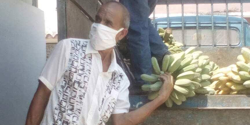 Las producciones agrícolas no deben tomar camino equivocado