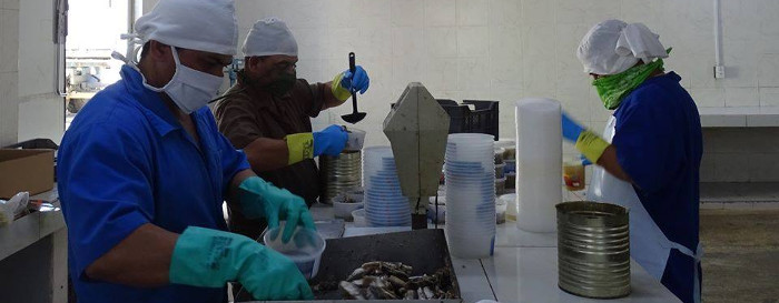 Empresa Pesquera Industrial en plena faena