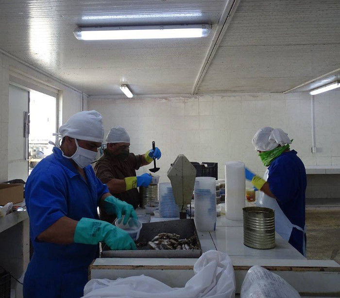 Foto: Cortesía de Episur Empresa Pesquera Industrial en plena faena