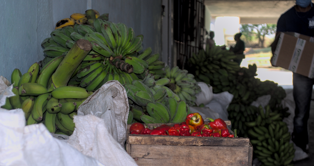 Peasants donate food to hospital institutions