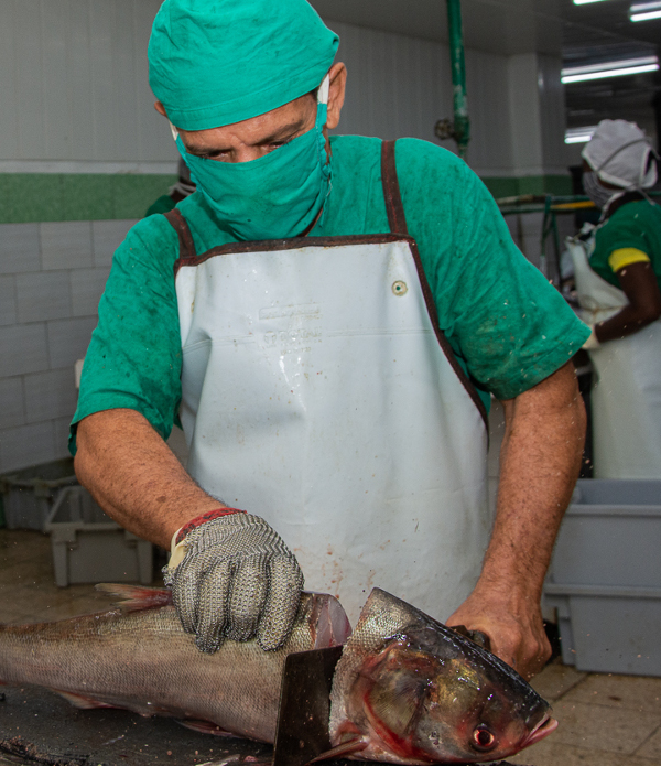 Edilberto Castellanos es cuidadoso en los cortes.