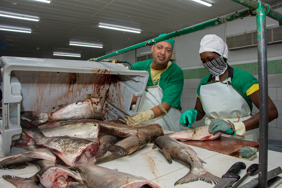 Combinación de fuerza masculina y femenina. Fotos: Leandro Pérez Pérez/ Adelante Del agua dulce a la exportación