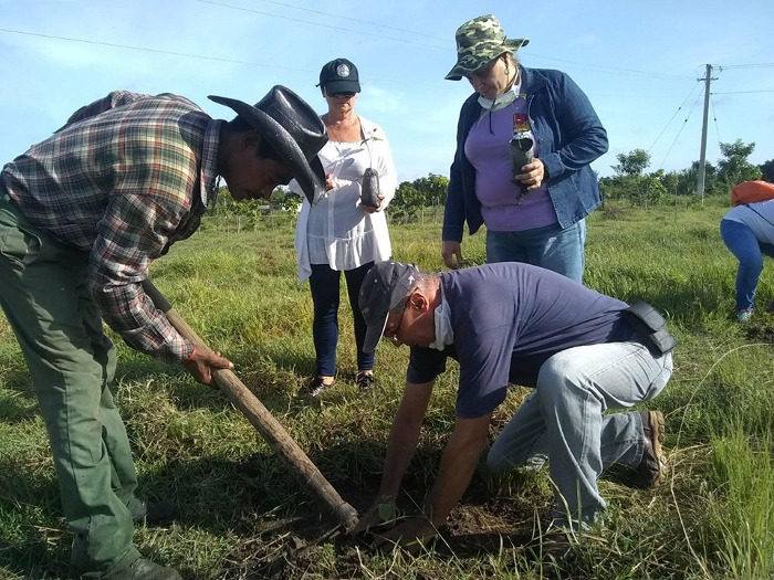 Foto: Leandro Pérez Pérez/ Adelante Técnicos agrícolas y forestales celebran reforestando