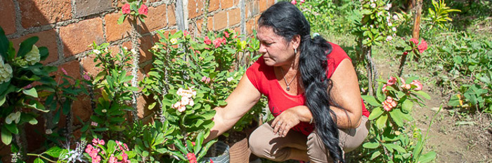 La esencia de la tierra (+ Fotos)
