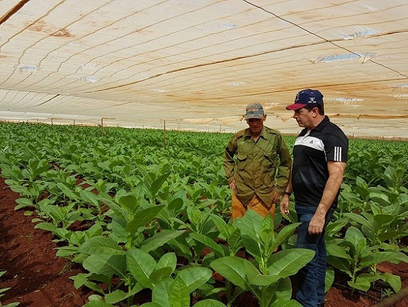 Foto: Dania Díaz Socarrás /Radio Cadena Agramonte Un piropo para la tierra rojinegra