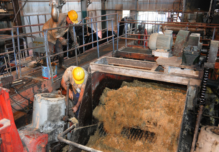 Foto: Orlando Durán Hernández / Adelante / Archivo Comenzó producción de azúcar refino en Camagüey
