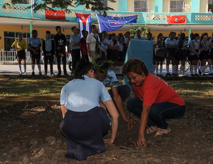 Fotos: Leandro Pérez Pérez / Adelante Nuevos árboles para honrar a Martí