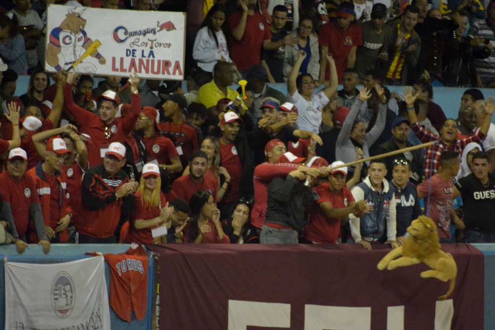 Foto: Alejandro Rodríguez Leiva/ Adelante