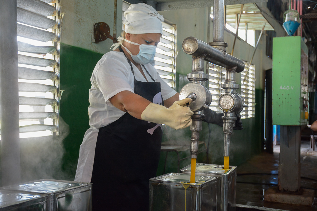 Foto: Alejandro Rodríguez Leiva/ Adelante Conservas y Vegetales trabaja en sustituir importaciones