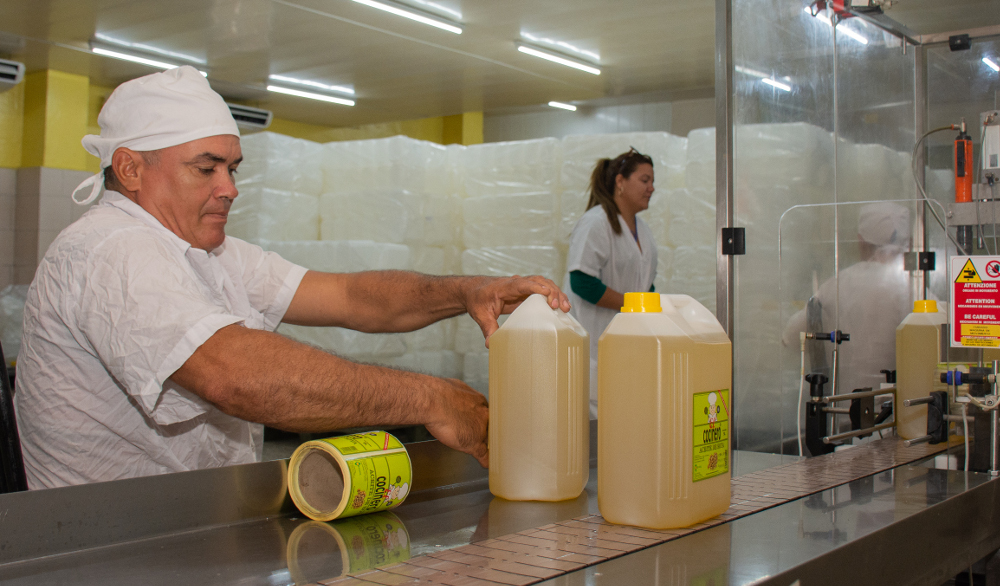 Positivos resultados de aceites en Camagüey