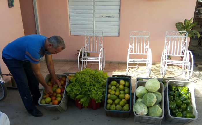 Fotos: De la autora Los tomates trepadores de Luciano