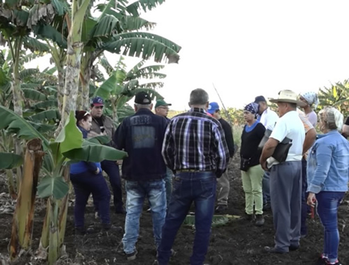 Foto: Tomada de radionuevitas.icrt.cu