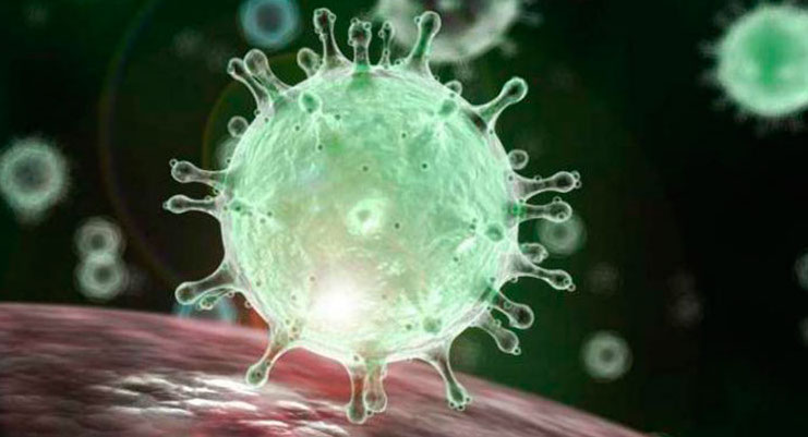 Autoridades sanitarias  desmienten rumores sobre un primer caso de coronavirus