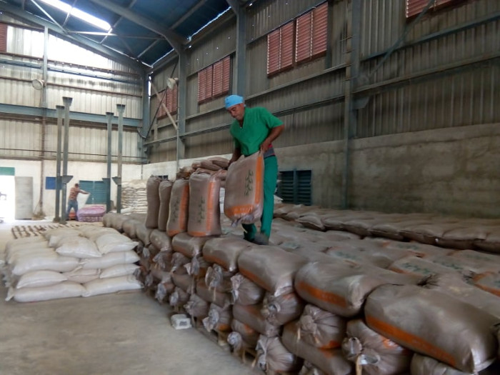 Fotos: De la autora Empresa Logística Azucarera por diversificar producciones en Florida