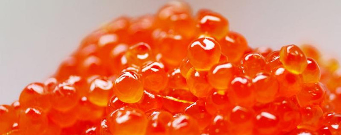 Nuevos productos alimenticios con la aplicación de la ciencia