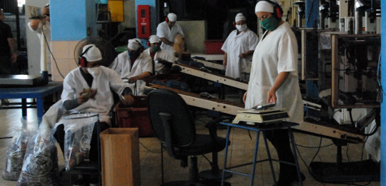 Torrefactora de café estabiliza producción