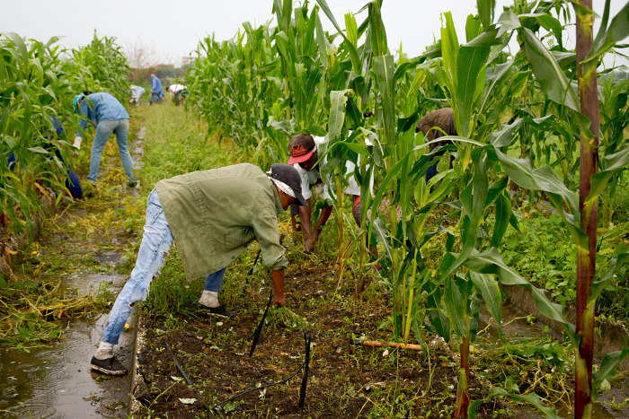 Fotos: Alejandro Rodríguez Leiva/ Adelante Apoyan trabajadores de hotelería y turismo programas sociales