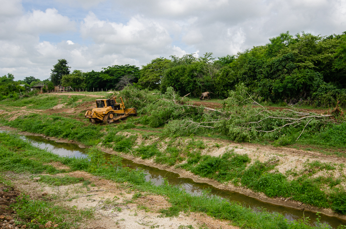 Fotos: Leandro Pérez Pérez/ Adelante