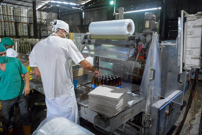 Fotos: Alejandro Rodríguez Leiva/ Adelante El mango entra en campaña