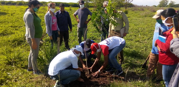 Jóvenes celebran Día Mundial del Medio Ambiente