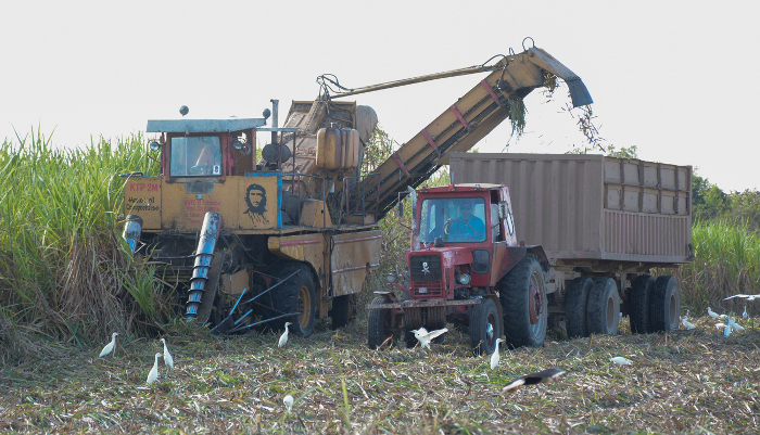 Foto: Alejandro Rodríguez Leiva / Adelante Marzo sala’o: abril puede ser más dulce