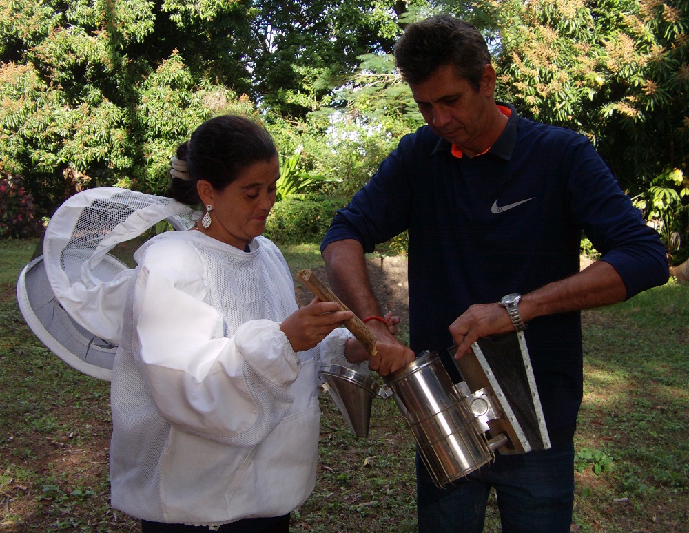 El uso del insecticida botánico (cuaba) reduce el riesgo del deterioro de la colonia y permite que estas produzcan niveles óptimos de miel, cera y propóleos. Fotos: De la Autora  “Eres un genio…”