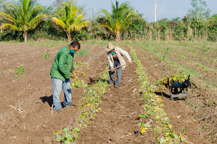 Fotos: Leandro Pérez Pérez/ Adelante Raíces