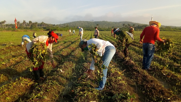 Foto: De la autora Su Día, junto al surco