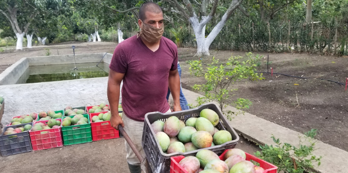 Fotos: Del autor Ojalá existieran muchos Maykel